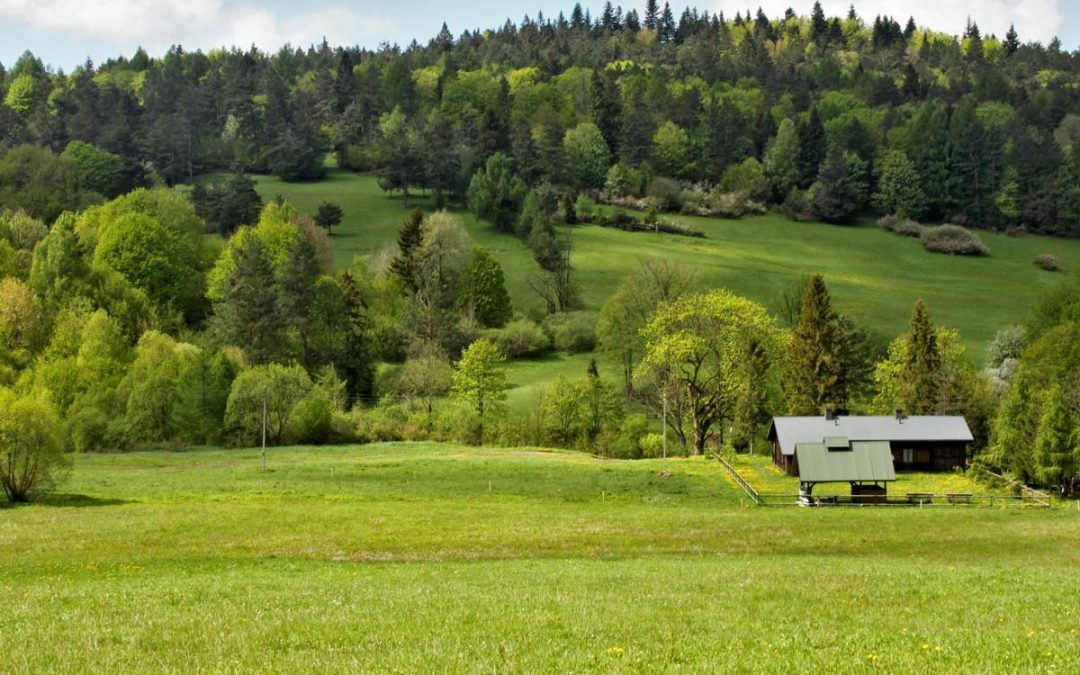 Majówka 2024 w Zyndranowej