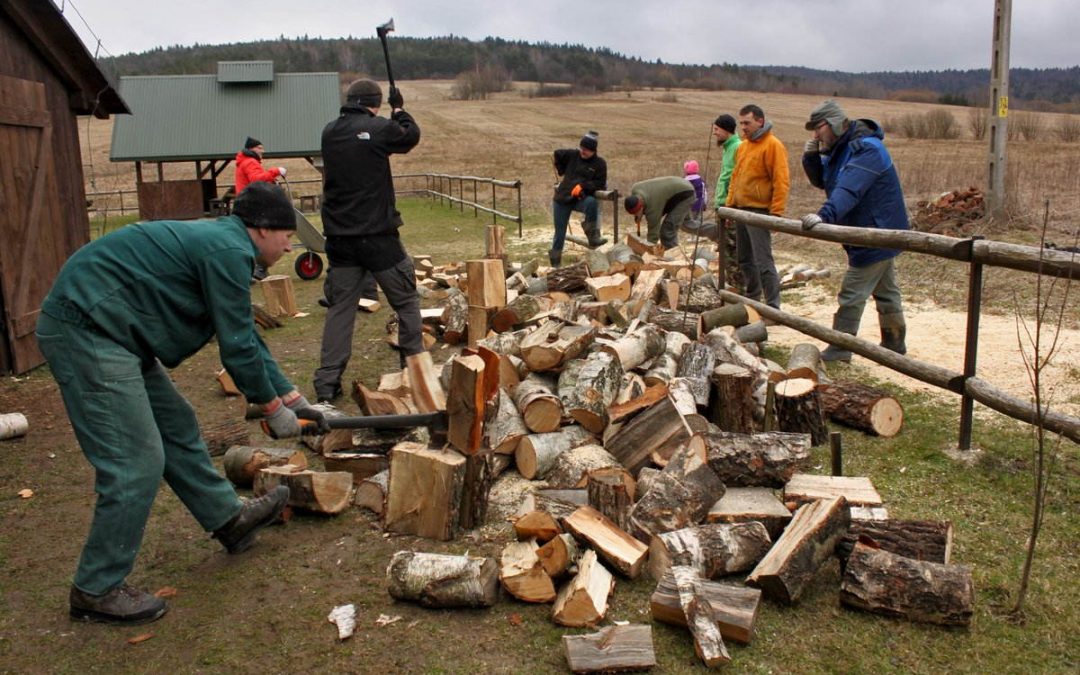 Prace przy drewnie w Zyndranowej