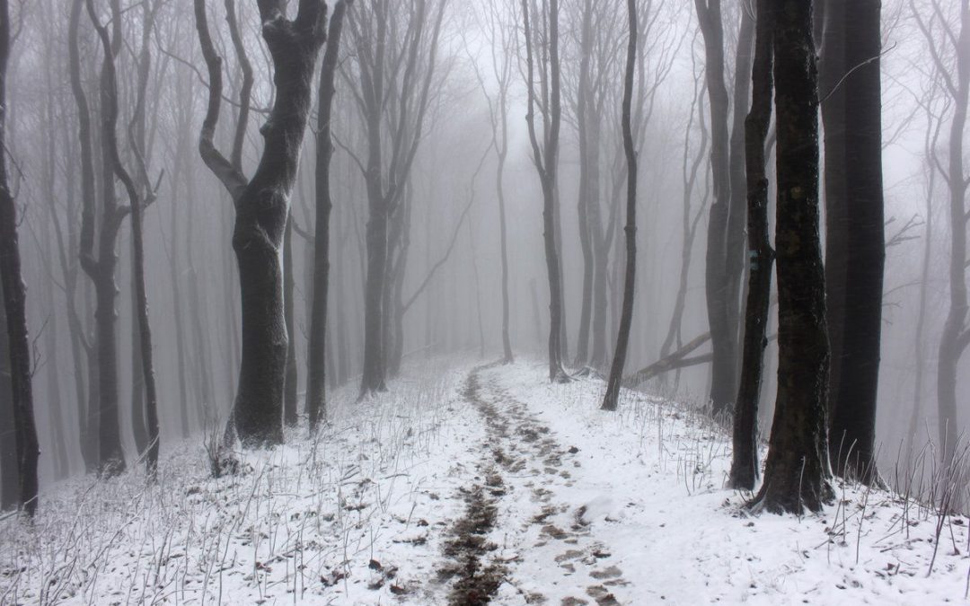 Wyjazd kursowy w Góry Sanocko-Turczańskie