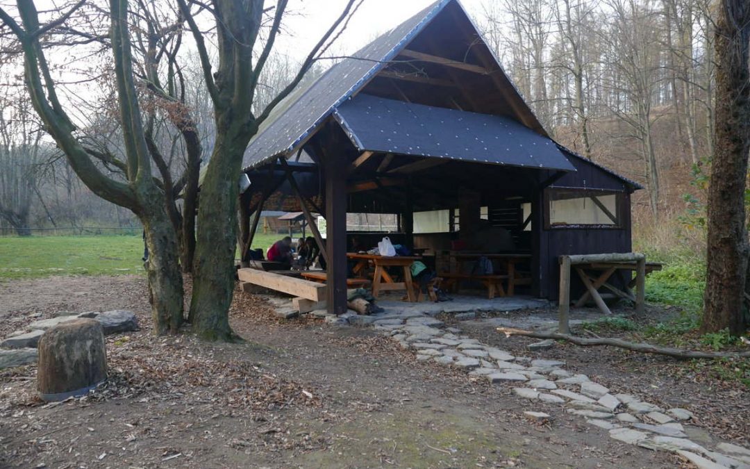 Projekt w Wisłoczku 2018