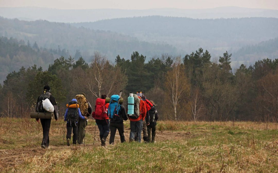 Działalność naszego Koła w 2019 roku