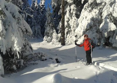 Sylwester 2016/2017 i Trzech Króli 2017 w Zyndranowej
