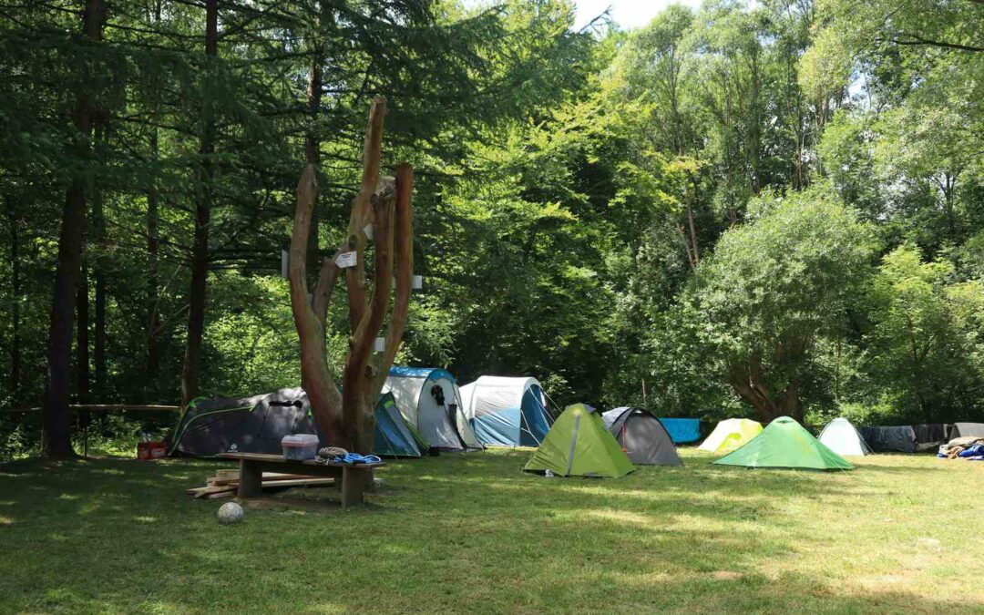 PILNE! Szukamy bazowego do Wisłoczka